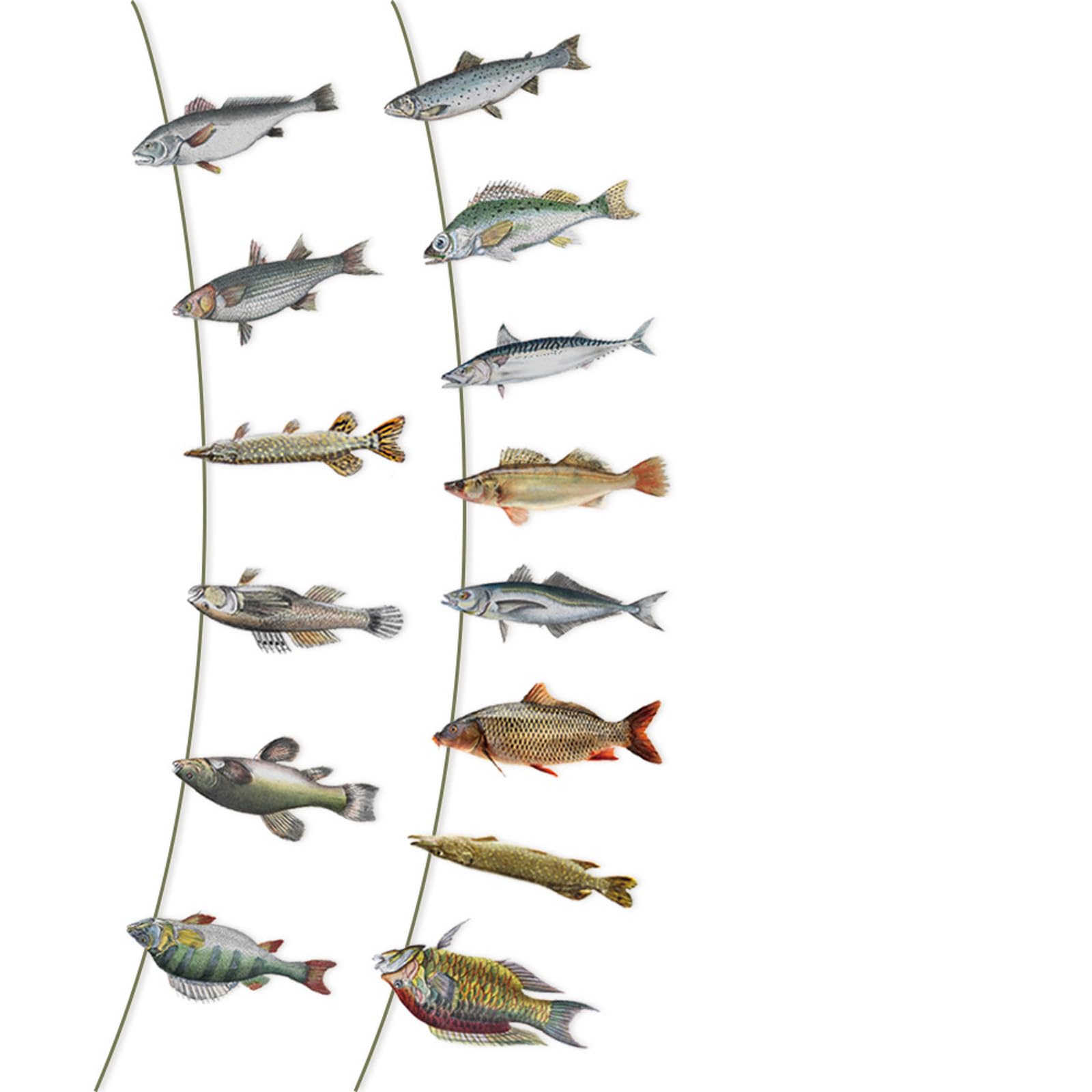 YROHGKPN Party Decoration Fish Shape Hanging Ornament for Retirement Celebration Fishing Theme Party Decoration Fishing Themed Birthday Decorations