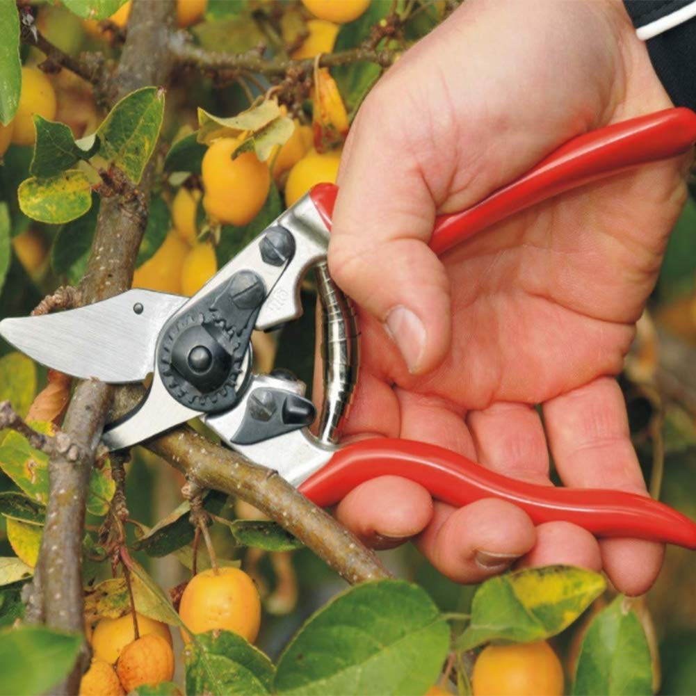 MRKU Tijeras de podar compactas, Tijeras de podar para jardín, Menos Esfuerzo, Tijeras de podar para huertos y Jardines para Manos pequeñas