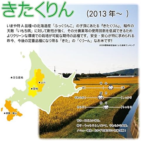 北海道産 きたくりん 玄米 30kg 【INAICHI】 農薬節減米