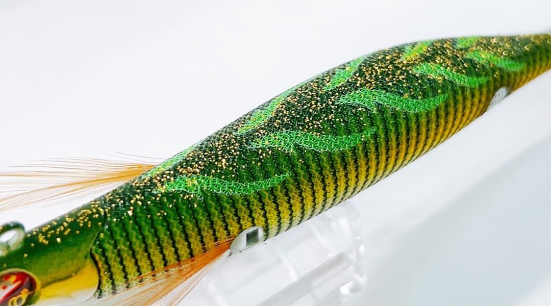 Amazon | SQUID MANIA スクイッドマニア WILD CHASE/B-TR ワイルド