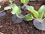 Linic Products UK Made, Reusable Cabbage Plant Protector Barrier Guard Collar Mat, Deters Root Flies and Weeds at Roots of Plants (X8140). Free UK Postage. (10)
