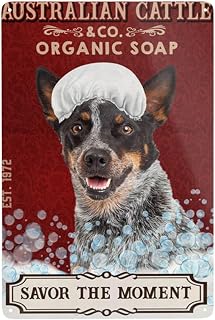 Australian Cattle Dog Retro Tin Sign 8x12 inch Metal Wall Decor Cafe Bar Restaurant Supermarket Shop Dog Lover Gift Plaque