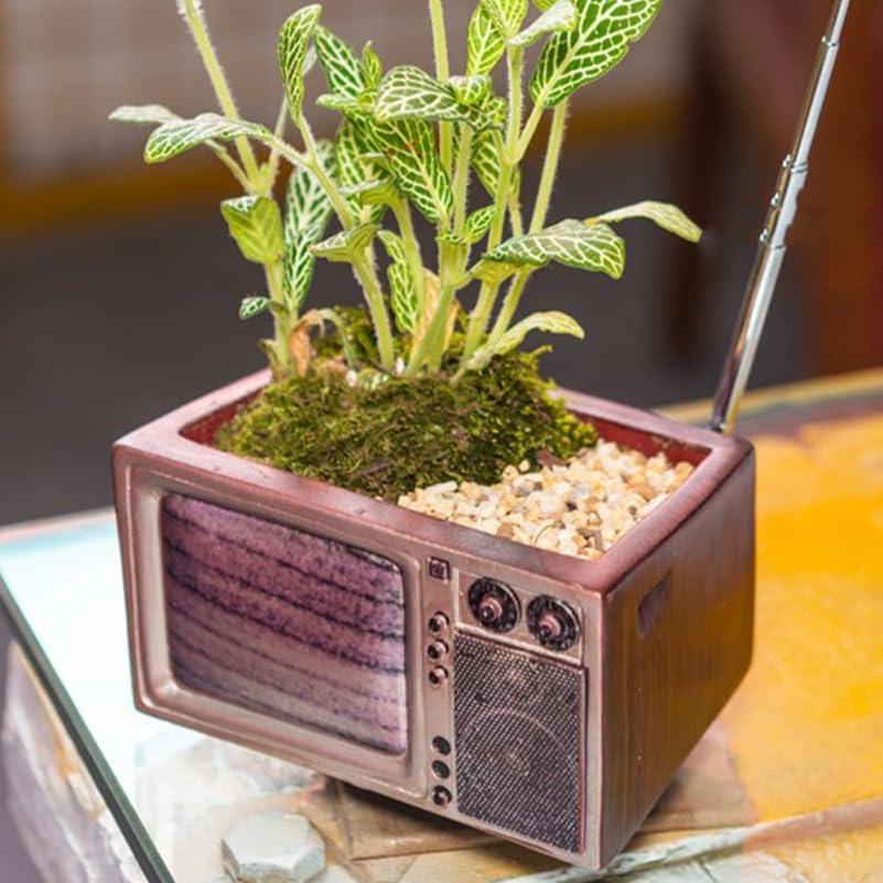 Miniatura 5 de POPETPOP Maceta retro  Maceta creativa de TV para plantas de interior, maceta retro novedosa para plantas suculentas, soporte de escritorio, mini