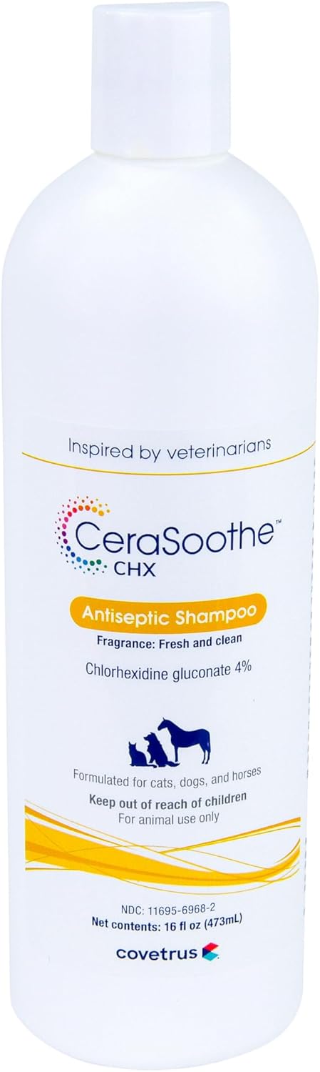 CeraSoothe CHX Antiseptic Shampoo with Chlorhexidine, Hydrating & Barrier-Supporting Cleanser for Dogs, Cats & Horses, 16 oz