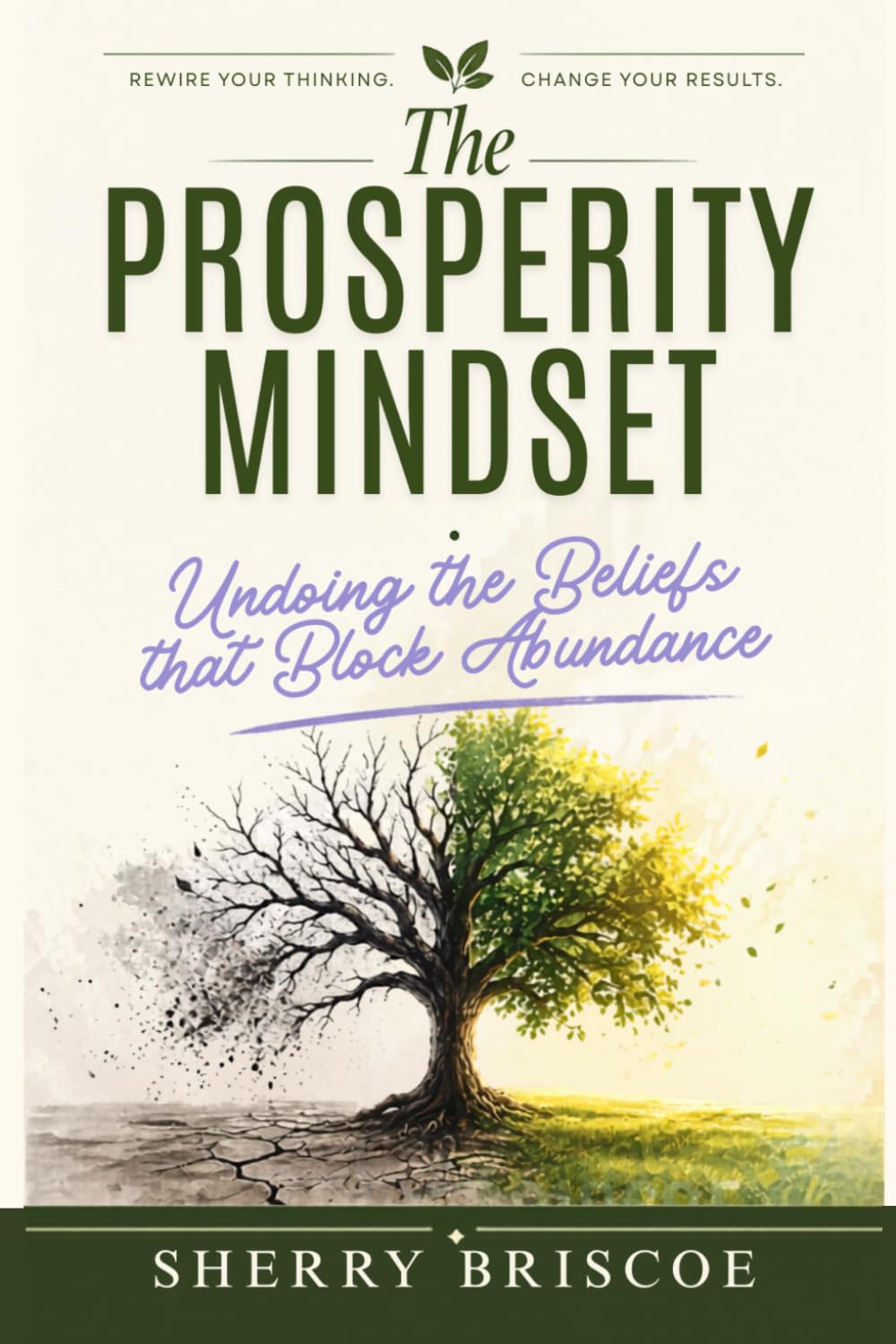The Prosperity Mindset: Undoing the Beliefs that Block Abundance