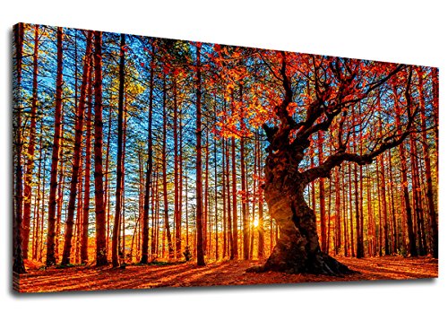 Large Forest Sunset Wall Art, Red Leaf Trees Landscape Picture, 24" x 48"