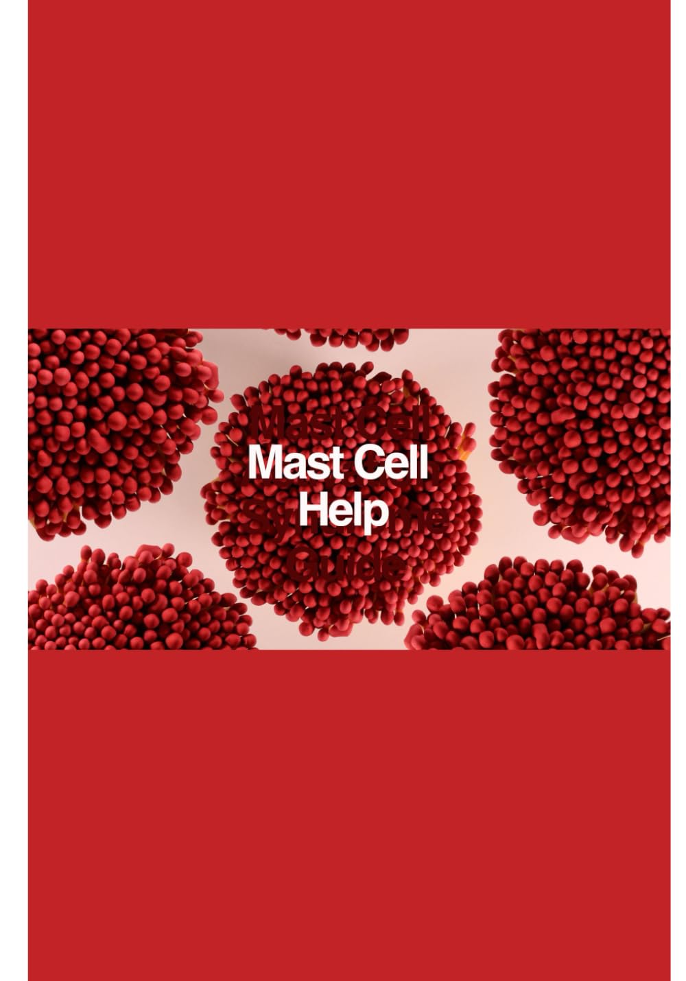 Mast Cell Help: What You Need To Know About Mast Cell Activation Sydrome and its symptoms, diagnosis, and treatments
