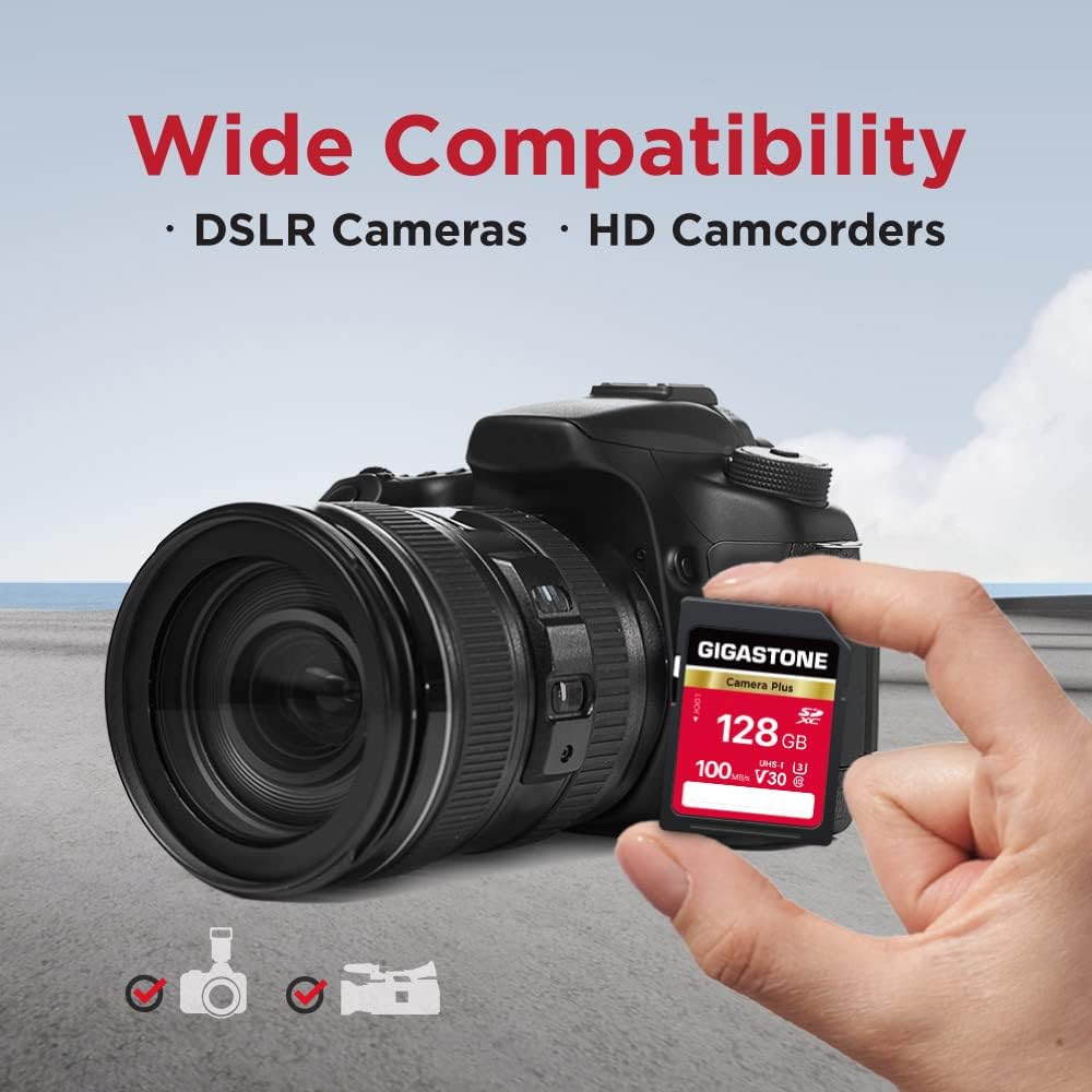 GIGASTONE Scheda Di Memoria 128GB (Set Da 10) Per GoPro, DJI, Switch E Drone: Video Full HD E Tutto Lo Spazio Che Ti Serve!