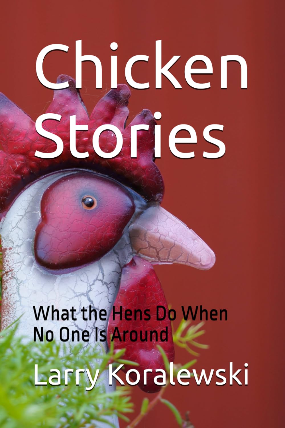 Chicken Stories: What the Hens Do When No One is Around