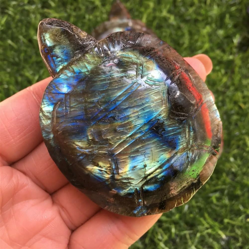 1PCS Labradorite Quartz Crystal Tortoise Skull Hand Carved Home Decor