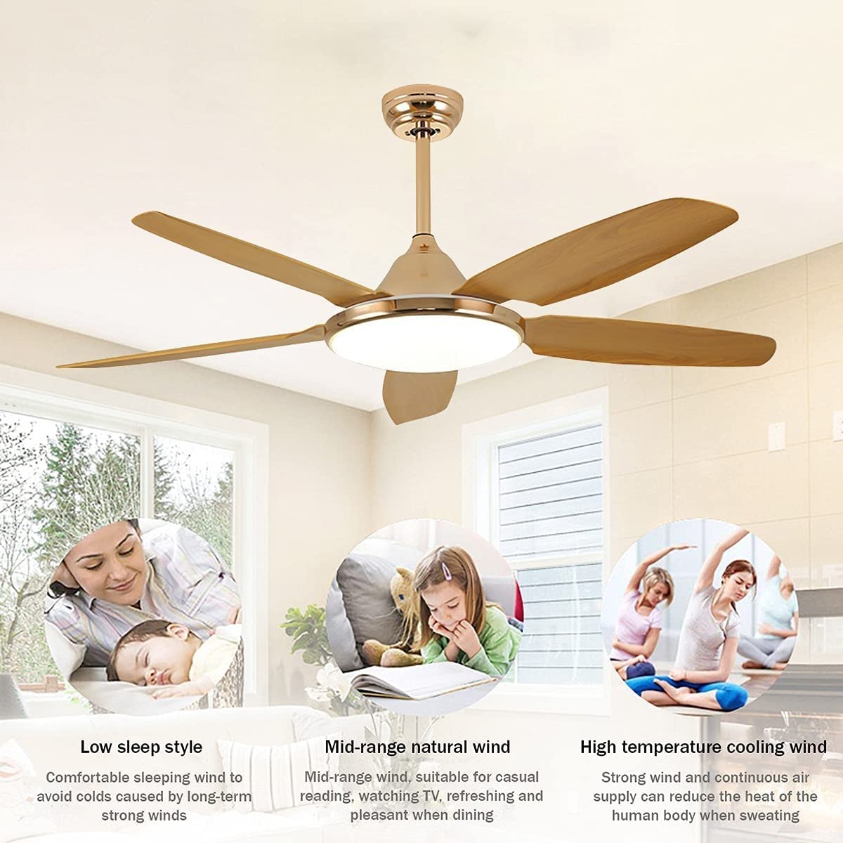 COLIY Ceiling Fans with Lights and Remote Ceiling Fan Lights with Remote  Control Ceiling Fan Lighting Ceiling Fan with Lighting Led Light Ceiling  Fans with Lamps Silent in Lighting : Amazon.ca: Tools