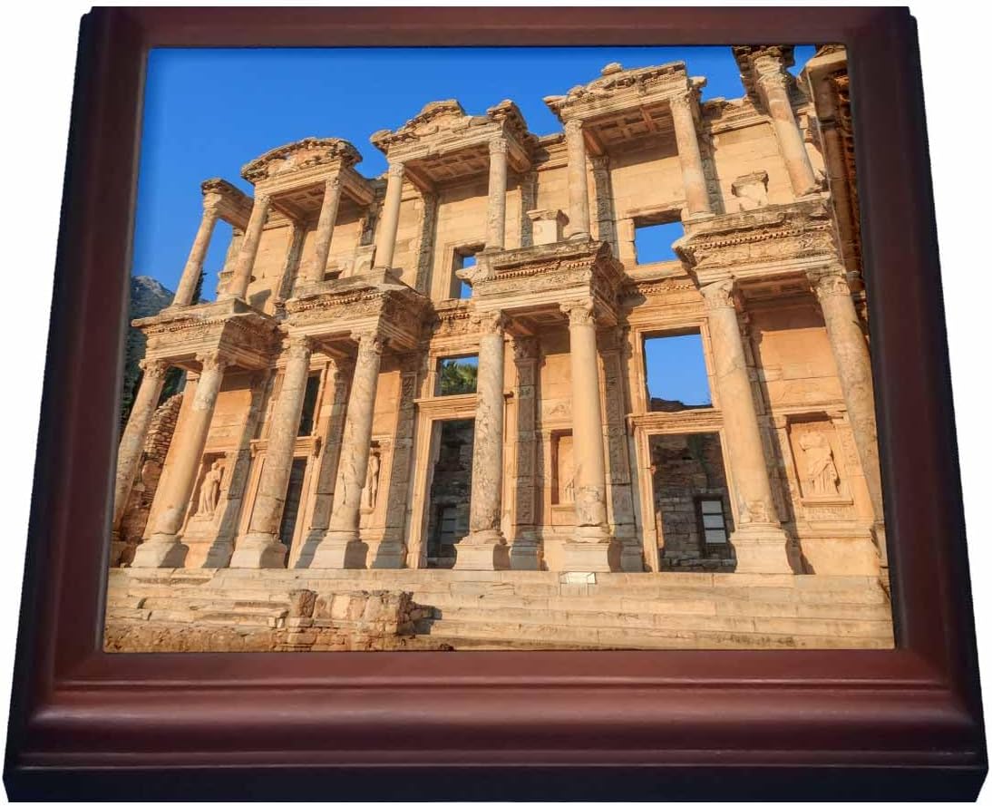 3dRose Trivet, 8 by 8-Inch, Brown