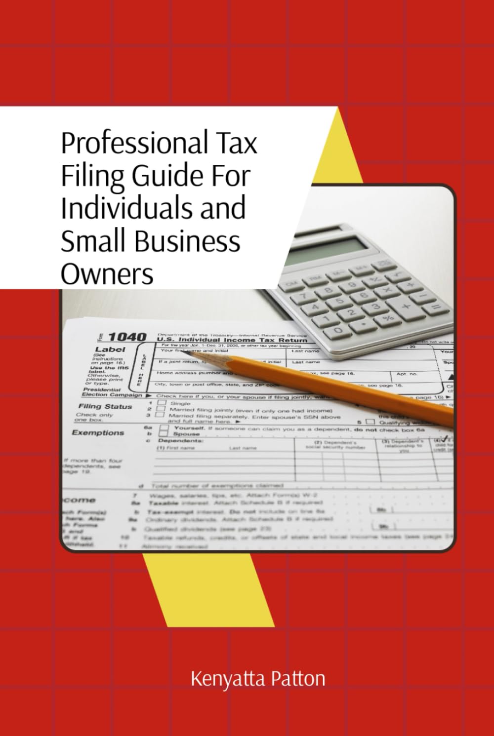 A Professional Tax Filing Guide: For Individuals and Small Business Owners