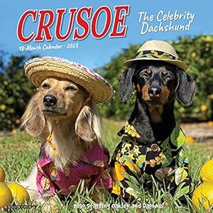 Willow Creek Crusoe Celebrity Dackel Wandkalender 2023