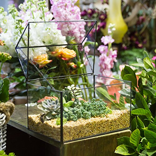 Ncyp Glass Geometric Terrarium Container Tabletop Large Close House Shape Box Planter For Succulent Plant Moss Fern With Swing Lid Black Decor 8.6 X 7.25 X 6 Inches, No Plants Included #TOP1