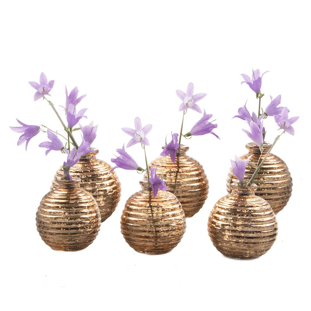 Buy Chive Set of 6 Smasak Small Round Glass Flower Vase, Decorative
