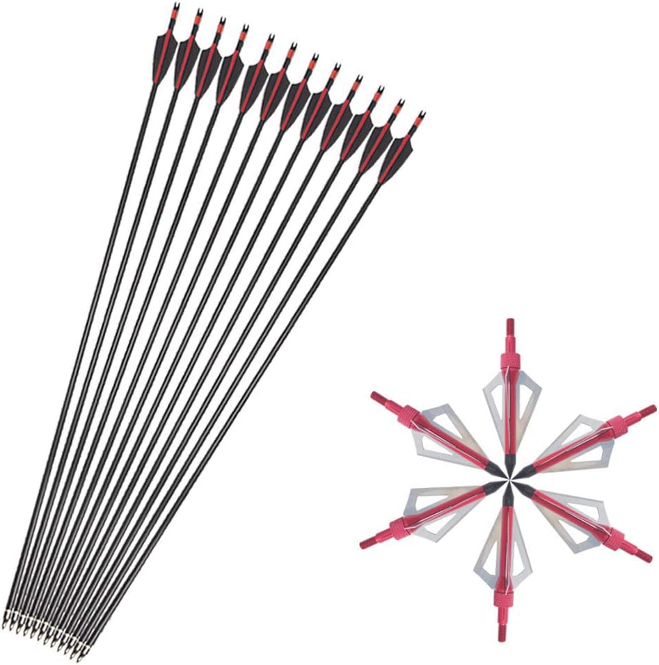31Inch Fiberglass Arrow Archery Hunting Practice Arrows Spine 500 with 100 Grain Replaceable Arrowhead for Recurve Compound Bow Target Shooting 12 Pieces