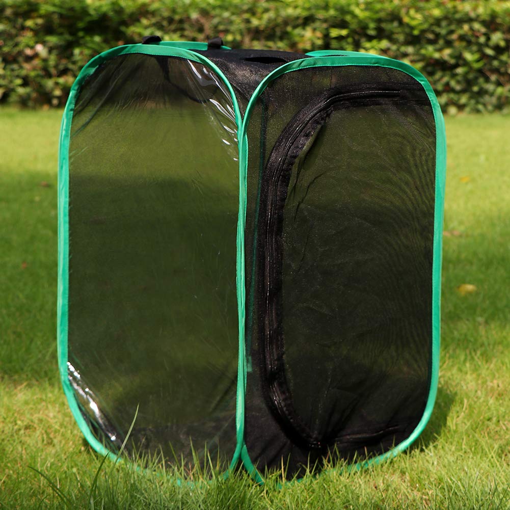 RESTCLOUD Pop-Up Butterfly Habitat Cage - 23.6 Inches Tall, For Raising Caterpillars - View #12
