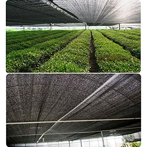 Toldo para patio con bloqueo UV para proteger plantas y mascotas 10x15m 7