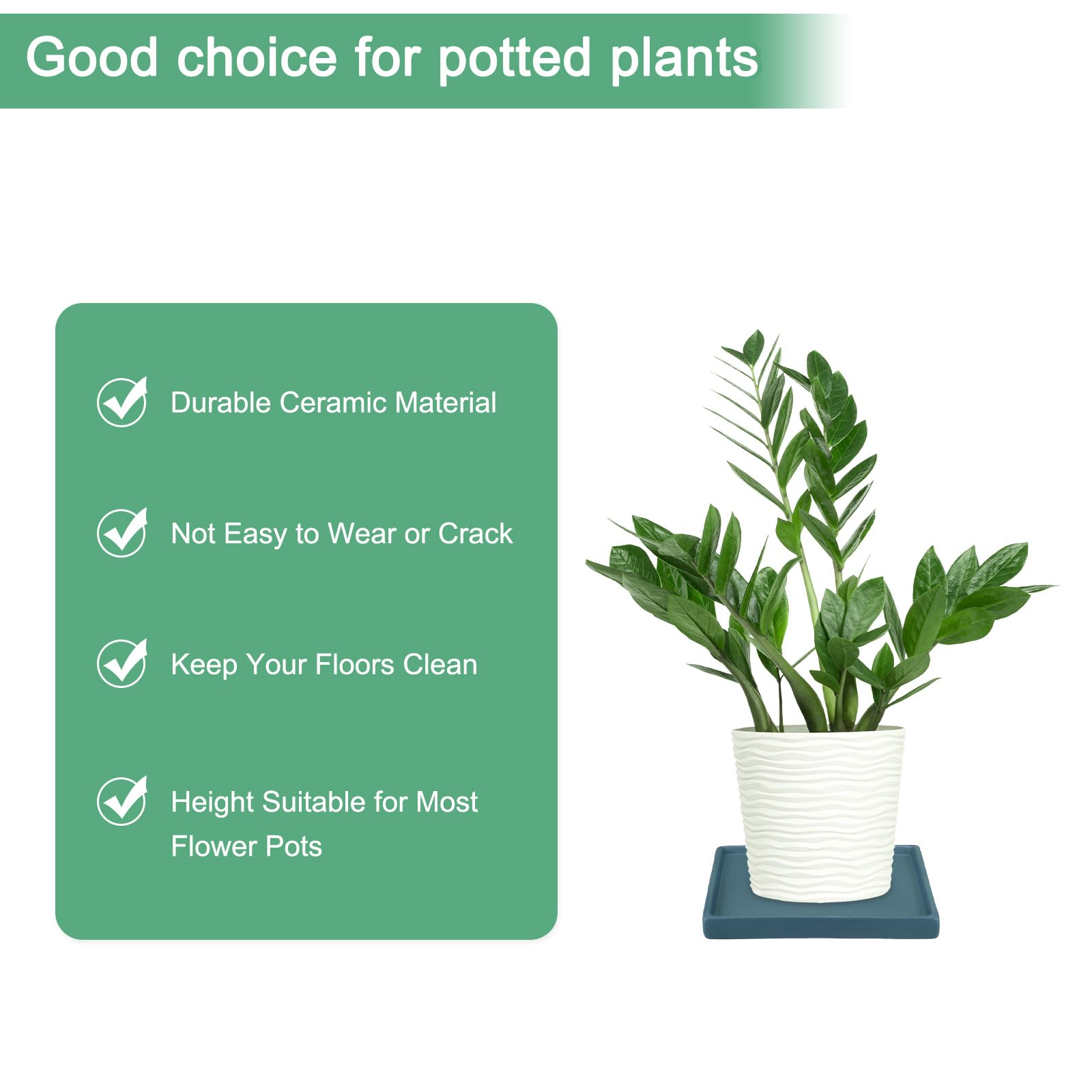 M METERXITY 2-Pack Ceramic Plant Saucer, 6.3 Inch Plant Water Catcher Tray - Image 3