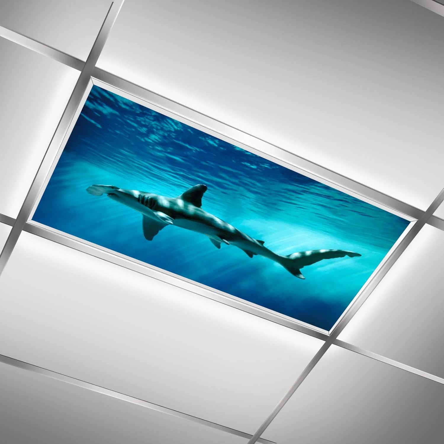 Hammerhead Shark in Deep Ocean Fluorescent Light Covers for Ceiling Lights Classroom 2ft x 4ft