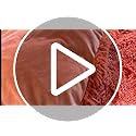 Fluffy Faux Fur Terracotta Comforter Cover King Set – Plush Fluffy Terracotta Bedding 3-Piece Set (1 Duvet Cover + 2 Furry Pillow Shams) Cozy Bed Set