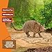 Schleich Wild Life - Wild Animal Toy Armadillo Figurine - Kids and Toddlers Ages 3+
