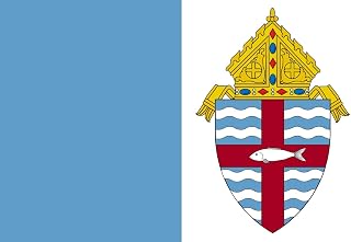 Large Flag A representation of the flag of the Roman Catholic Diocese of Madison in southwest Wisconsin | landscape flag | 1.35m² | 14.5sqft | 90x150cm | 3x5ft - long lasting outdoo