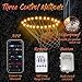 Neisouf DIY Color Chaning Basketball Hoop Light, APP and Remote Control 30 LEDs Super Bright Waterproof Basketball Rim LED Light for Outdoor/Indoor Use (15ft)