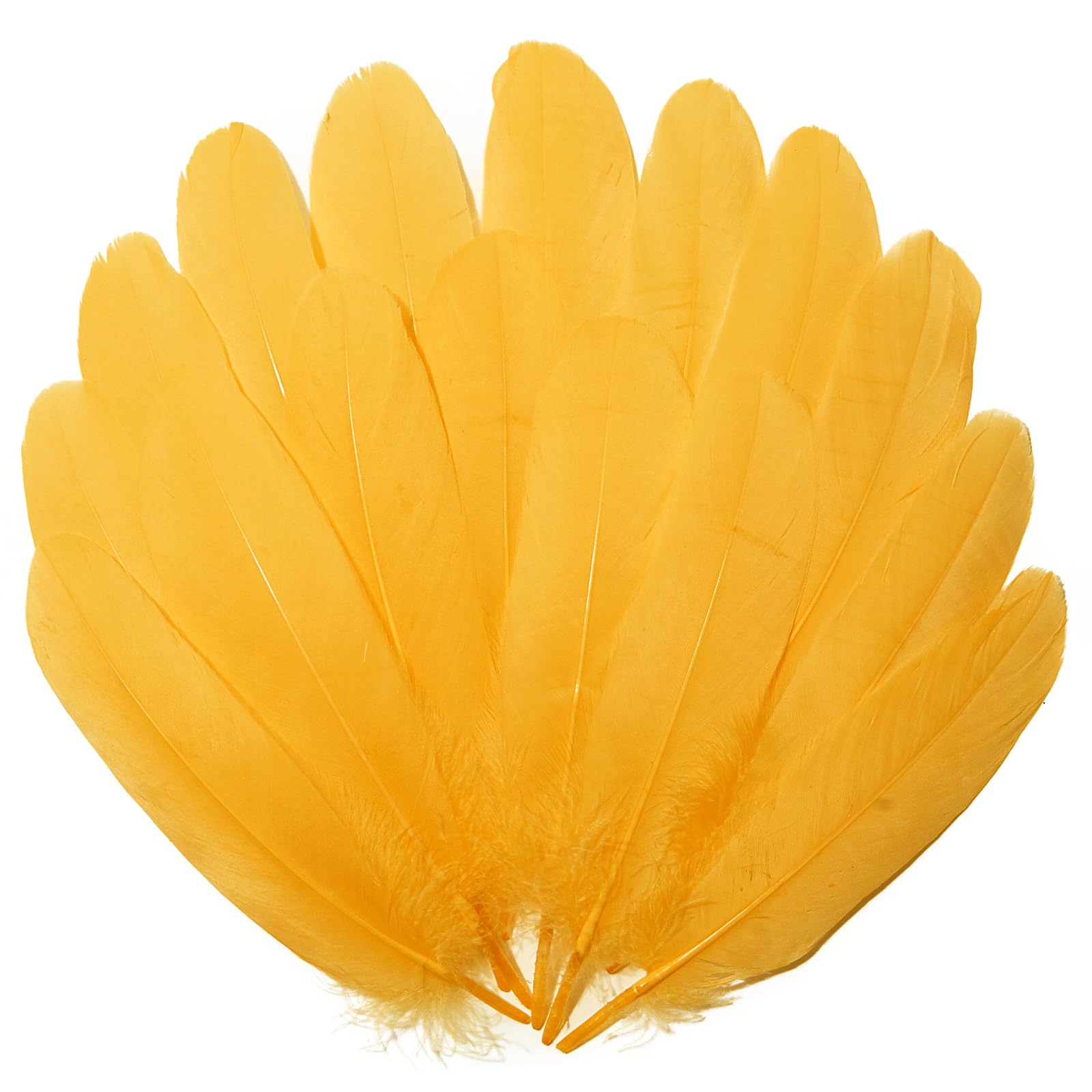 Lamar Golden Yellow Feathers 100Pcs Bulk Feathers 5-7'' for Crafting, Crafts, Home Deco, Angel Wings, Carnival, Masquerade, Christmas, Home Decoration, Bohemian Deco (Golden)