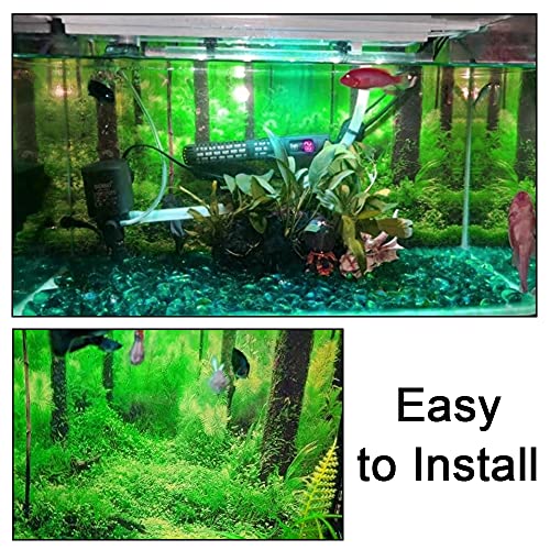 Image of PVC Adhesive Underwater Forest Tank Background Poster Fish Tank Decorations Background Pictures Aquarium PVC Adhesive Poster for Fish Tank