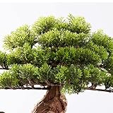 Drzewo symulacyjne, sztuczna roślina bonsai, kreatywna ceramiczna doniczka, symulacja, drewno, korzeń, rzeźba, sosna powitalna, do salonu i salonu, dekoracja do salonu