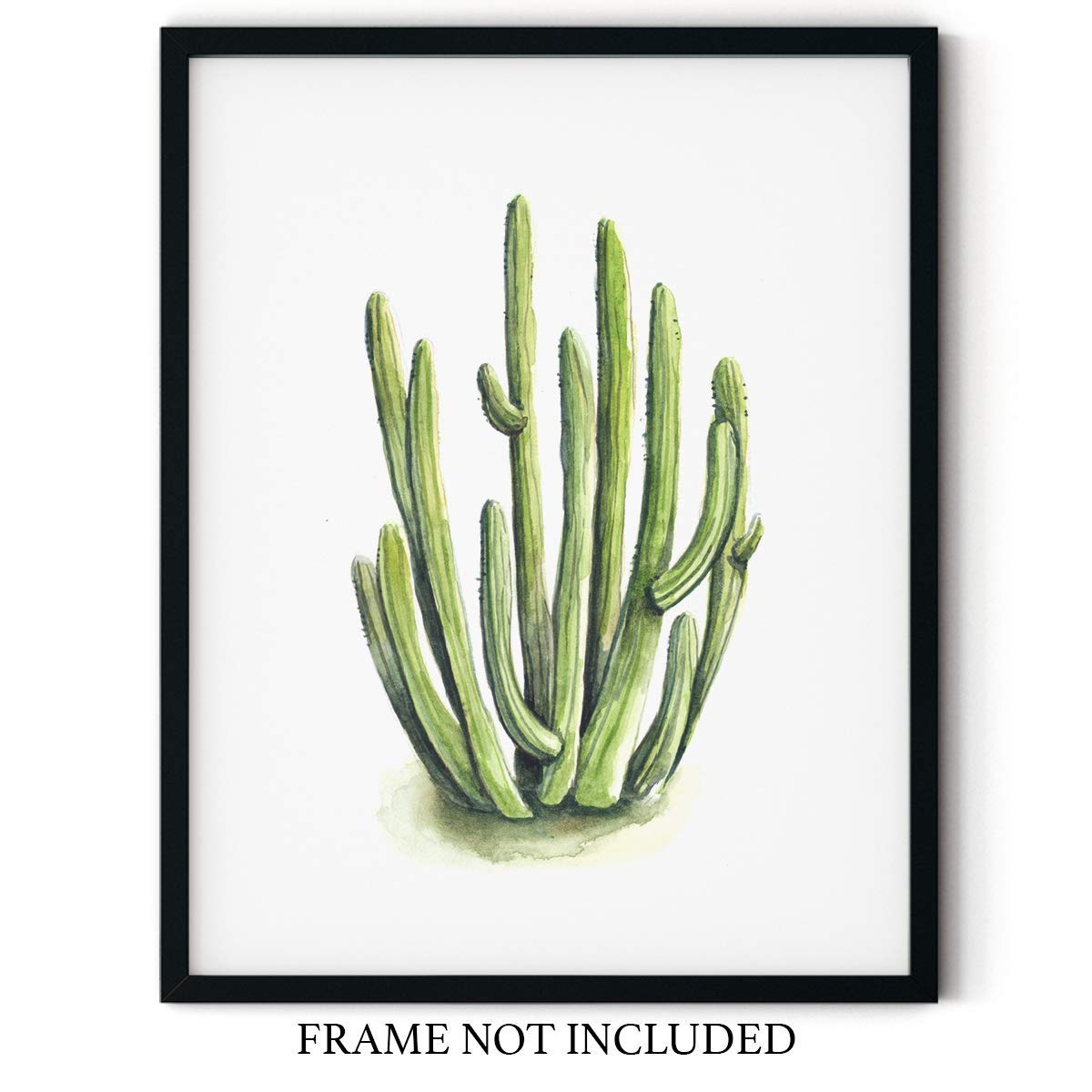 Organ Pipe Cactus Watercolor Wall Art 11x14 UNFRAMED Print - Makes a Great Gift under $15 for Desert Botanical Plant Lovers