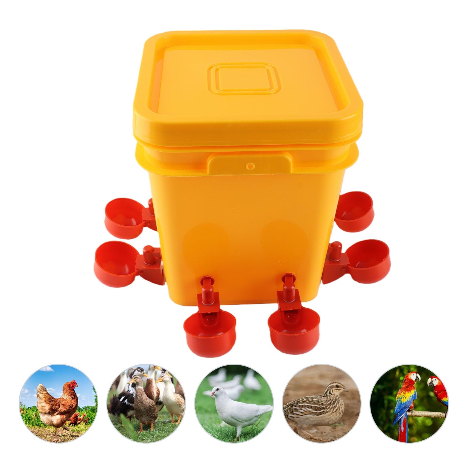 Bebedero Automático para Pollos con Barril de Mano de 12 litros, Equipo para Beber Aves de Corral para Pato Ganso, Bebederos para Pollos, Kit de Alimentador de Agua para