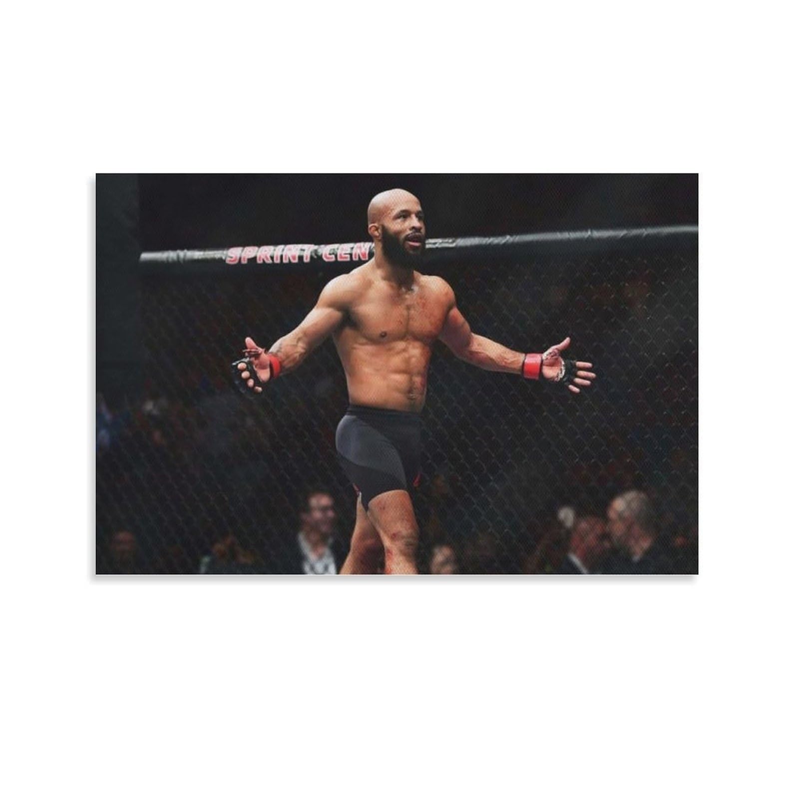 FCOIN Demetrious Johnson Canvas Poster Poster Cool Artworks Painting Wall Art Canvas Prints Hanging Picture Posters 16x24inch(40x60cm)