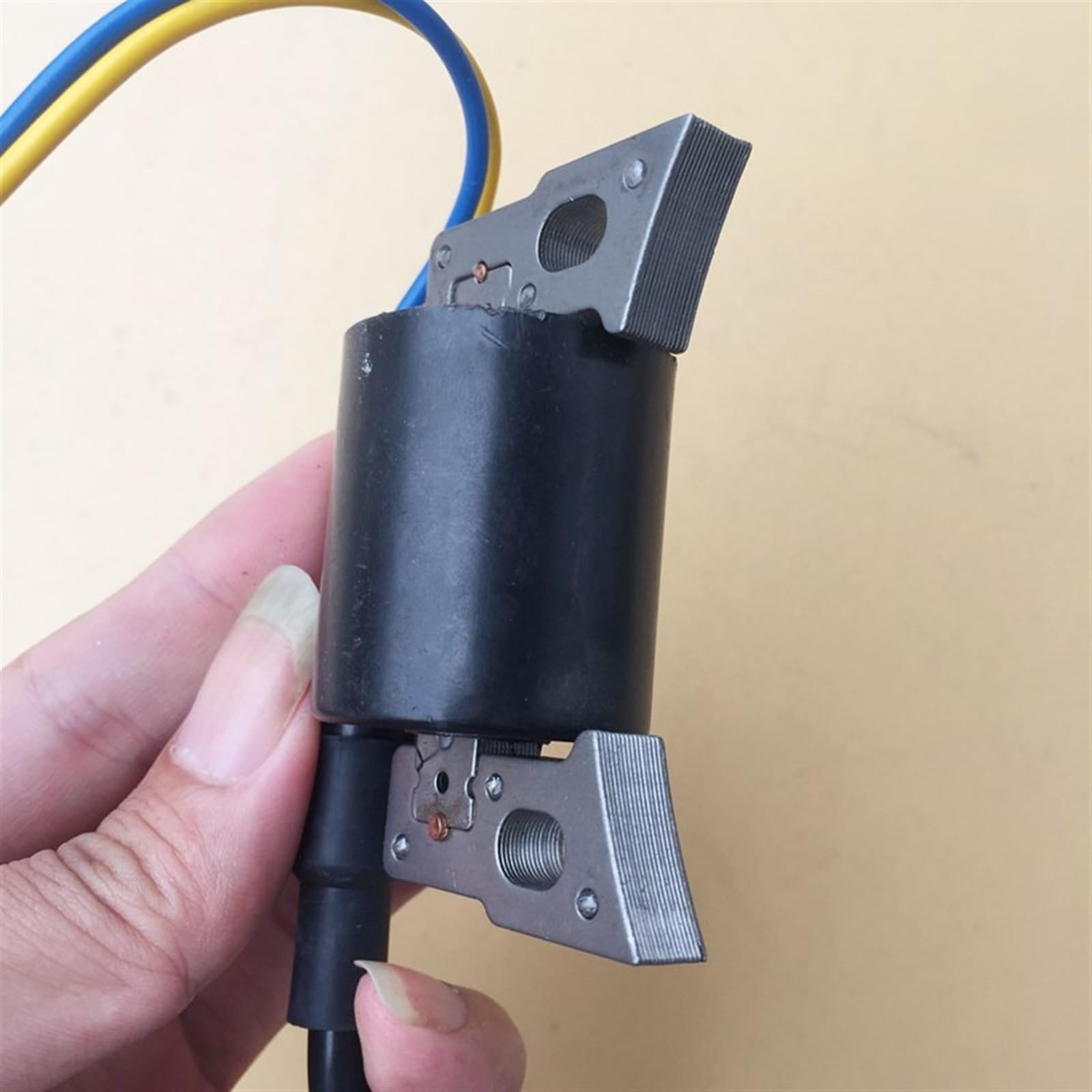 Bobina de Encendido Bobinas de Encendido Ese 2000T aptas for Piezas de Motor de Gasolina ENDRESS ESE2000T de Alta presión