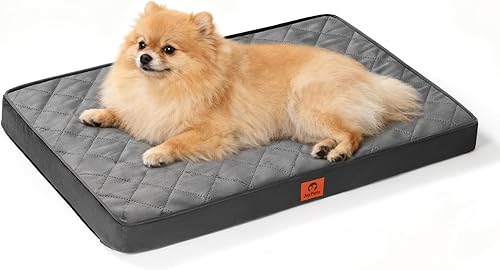 Acogedoras camas para perros pequeños, cama ortopédica de espuma para mascotas con funda extraíble/lavable/impermeable y parte inferior
