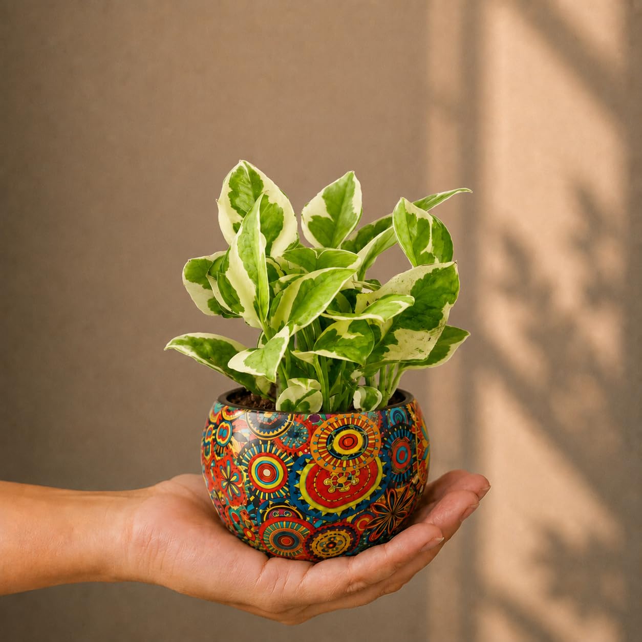 FNP Pothos Plant in Rajwada Designer Metal Pot | Live Indoor Air Purifying Plant | Multicolour Floral Paisley Planter | Low Maintenance Home & Office Desk Plant | Small Decorative Gift for Home Décor-image-28