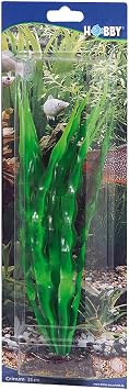 Hobby Crinum - 29 cm