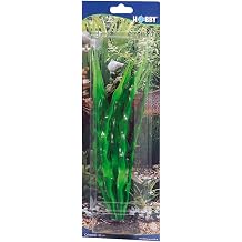 Hobby Crinum - 29 cm
