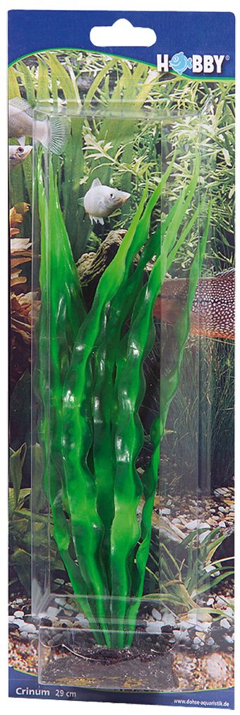 Hobby Aquaristik Crinum I 29 cm I Lifelike Artificial Aquarium Plant I No Affecting Water Quality I Easy Care