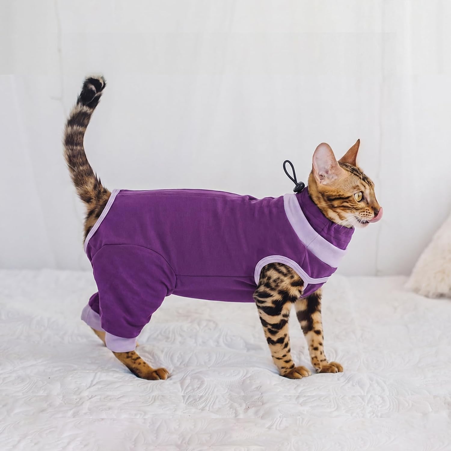 BRKURLEG Cat Recovery Suit with Hind Legs, Breathable Post Spay Onesie for Female Cats & Kittens, Anti-Licking Abdominal & Hind Leg Wound Protector, Cone Alternative, Purple M