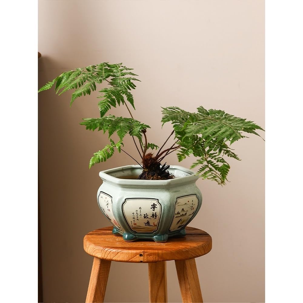 Ręcznie malowana doniczka na kwiaty, wysokiej klasy sześciokątna donica bonsai w stylu retro, do salonu i ogrodu, idealna do ekspozycji storczyków i sukulentów, rozmiar M