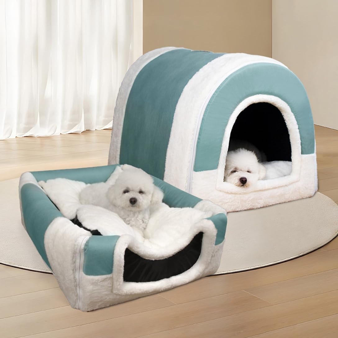 リヤドロ LLADRO 6211 ニューフレンド 犬とカタツムリ リヤドロ 犬