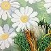 Brvsk Floral Embroidery Kit for Adults and Beginners — Daisies 16″ × 16″ with Clear, Precise Printed Design on Cotton Canvas; Includes 2 Needles, Yarn, and Easy-Read Chart