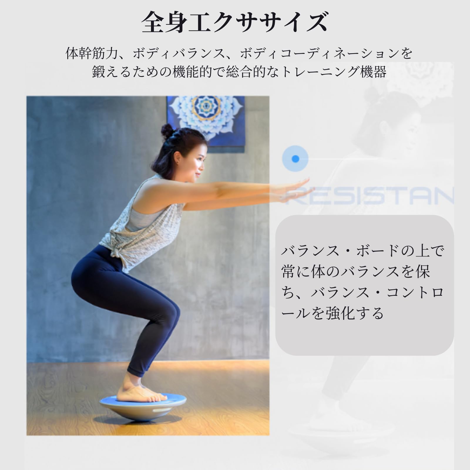 Amazon | バランスボード バランスディスク 体幹トレーニング上級者