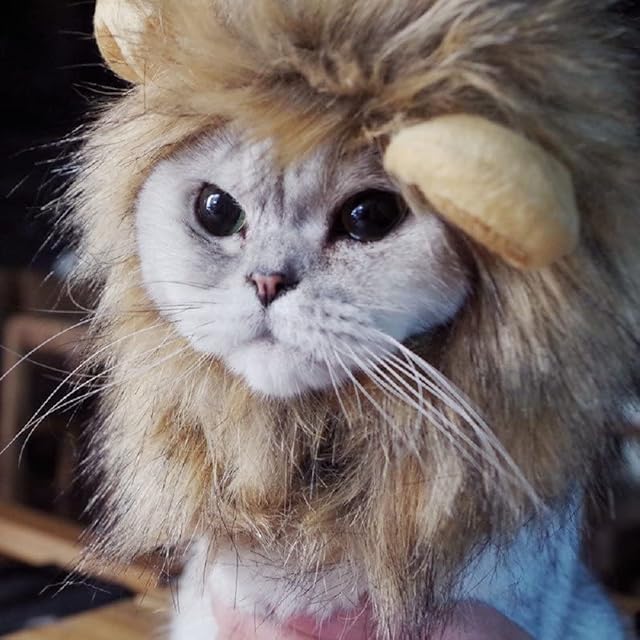 Bello Luna Lion Hair Headgear for Small Dog and Cats,Lion Mane Wig Puppy Cosplay Costume for Halloween Christmas Easter Festival Party Activity