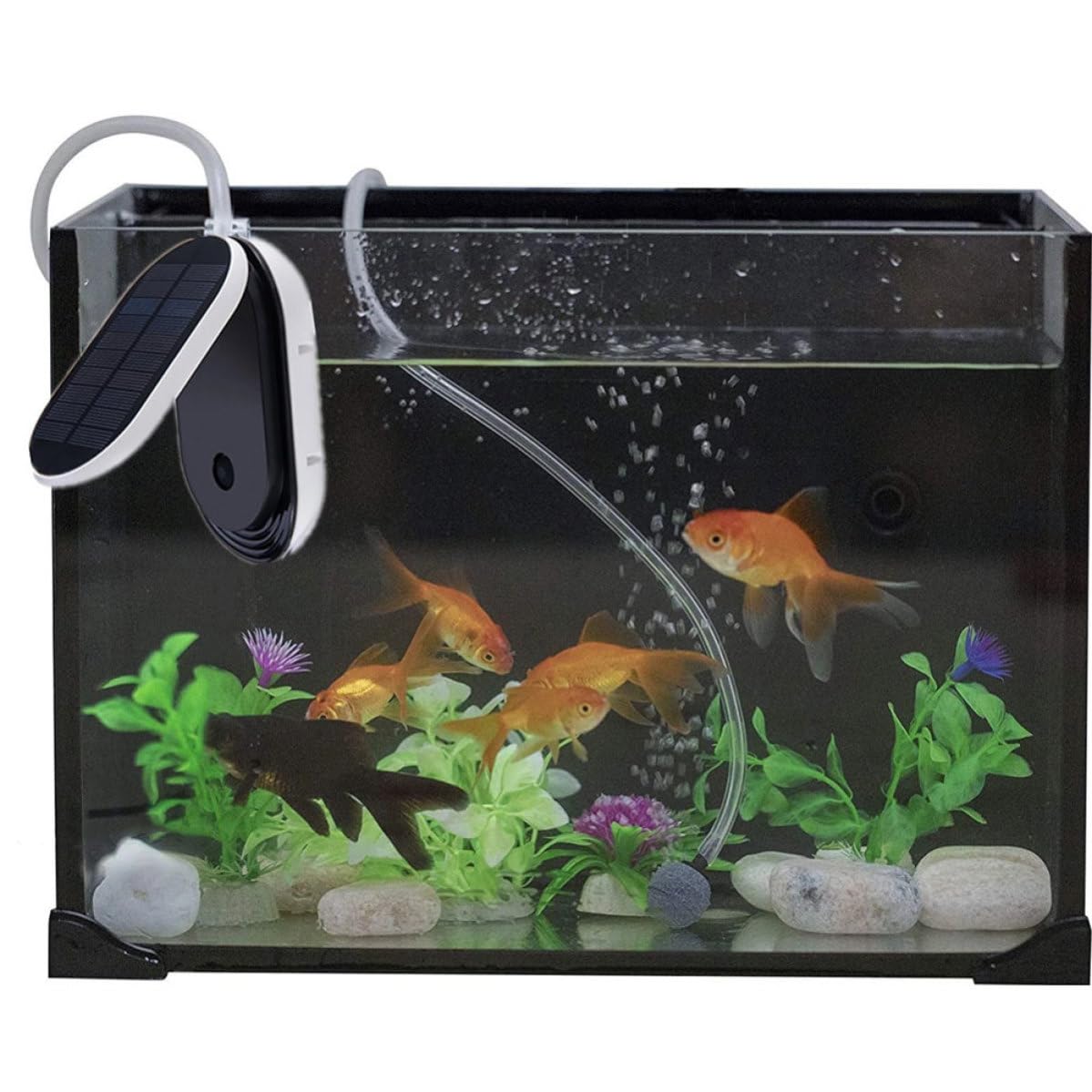 Gadpiparty Tragbare Solare Sauerstoffpumpe für Aquarium und Gartenteich mit 3600mah Lithiumbatterie Kunststoffgehäuse Kleine Größe und Hohe Sauerstoffzufuhr für Fische