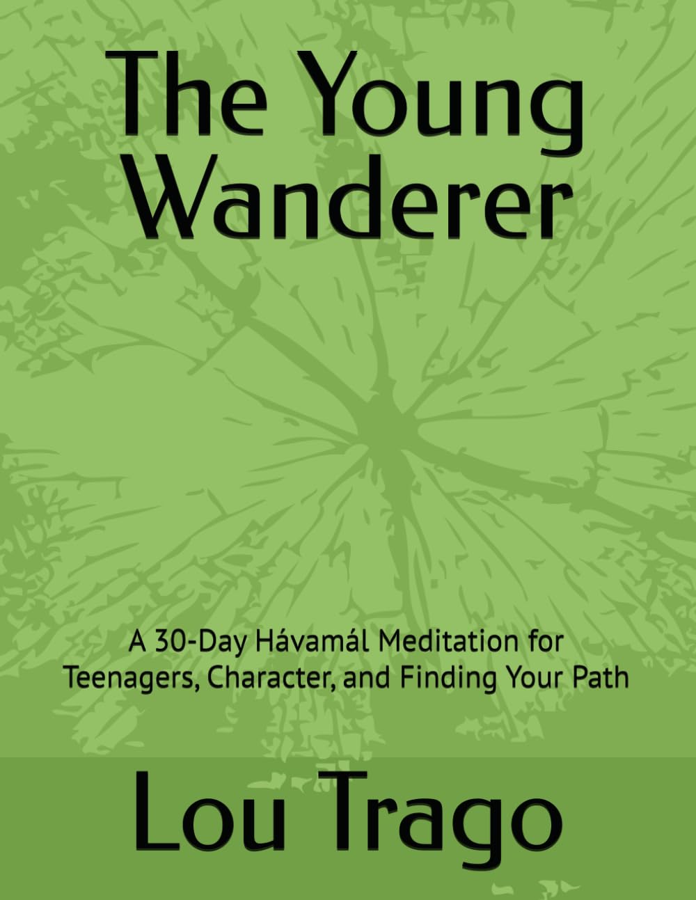 The Young Wanderer: A 30-Day Hávamál Meditation for Teenagers, Character, and Finding Your Path