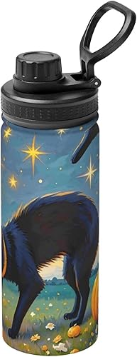 Hervidor de agua aislado de acero inoxidable con diseño de gato y calabaza, botella de agua divertida con impresión, ideal para deportes y viajes